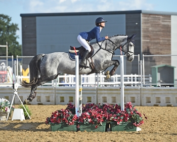 British Showjumping National Championships – Friday, 9th August Roundup